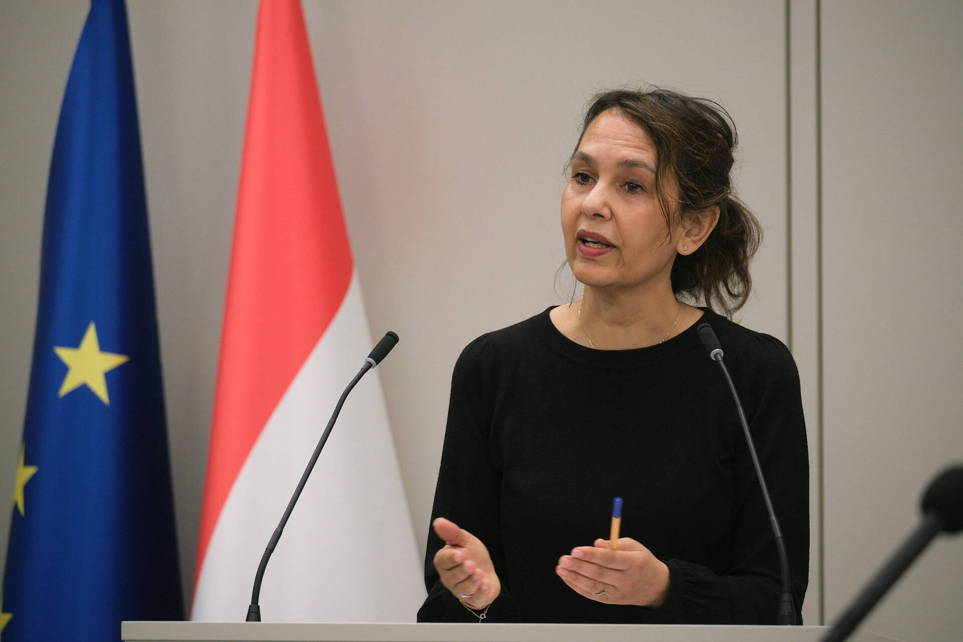 Senator Veldhoen (GroenLinks) is voorzitter van de commissie voor Digitalisering