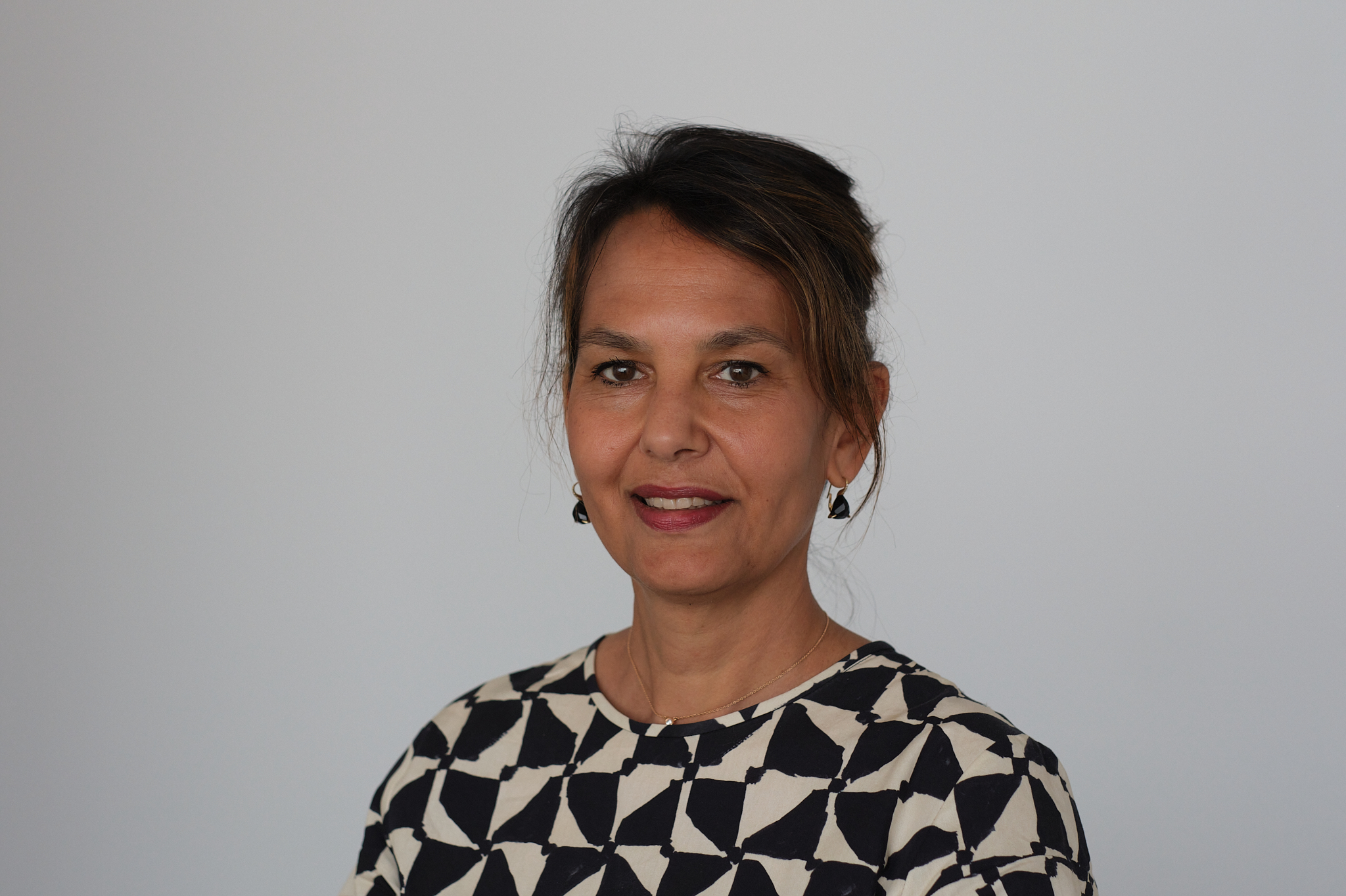 Mr. G.V.M.  Veldhoen  (GroenLinks-PvdA) 1